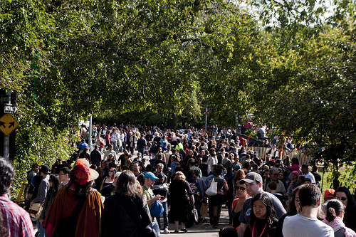 Photo by FreeVerse Photography